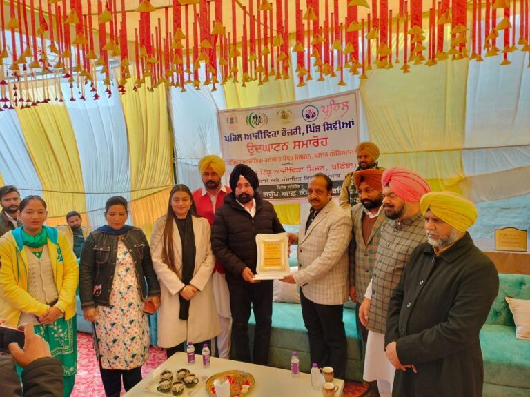 WhatsApp Image 2024-01-11 at 4.28.42 PM