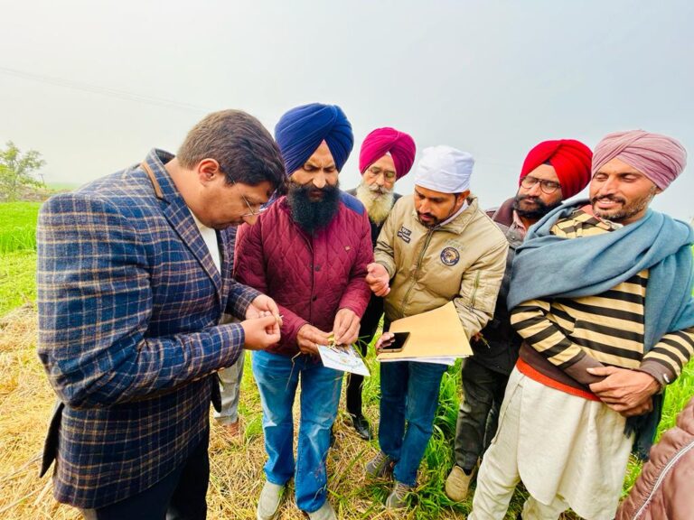 WhatsApp Image 2024-01-13 at 6.25.14 PM (1)