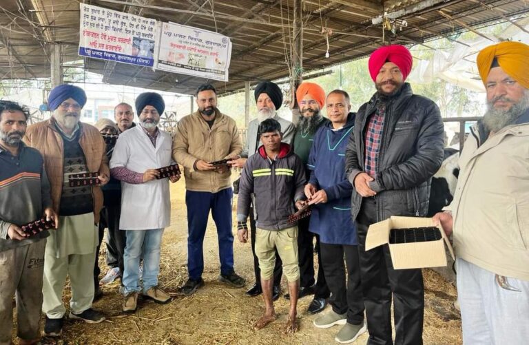 WhatsApp Image 2024-02-05 at 6.55.16 PM