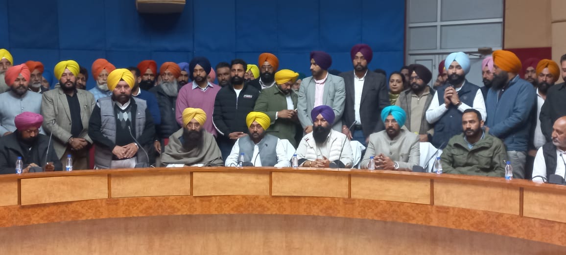 WhatsApp Image 2024-02-08 at 3.02.22 PM