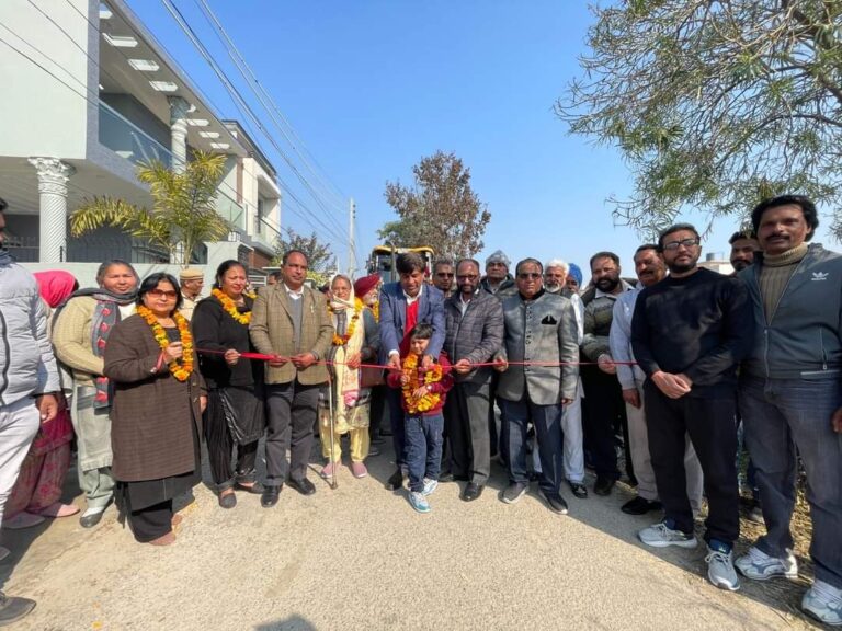 WhatsApp Image 2024-02-11 at 6.00.28 PM