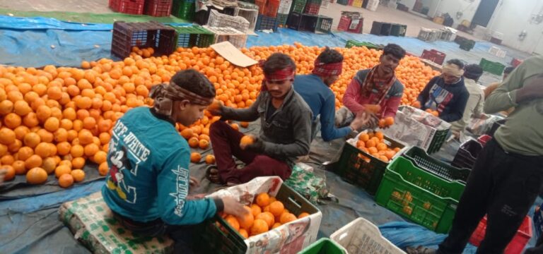 WhatsApp Image 2024-02-20 at 2.03.11 PM (1)