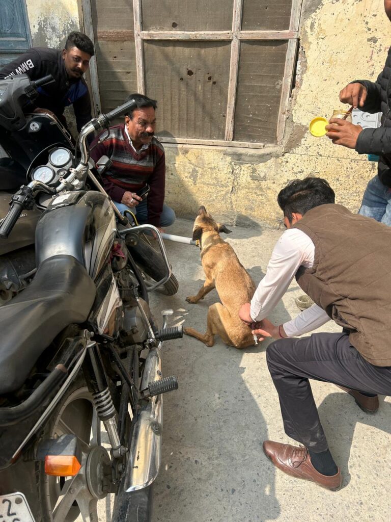 WhatsApp Image 2024-02-20 at 3.03.37 PM