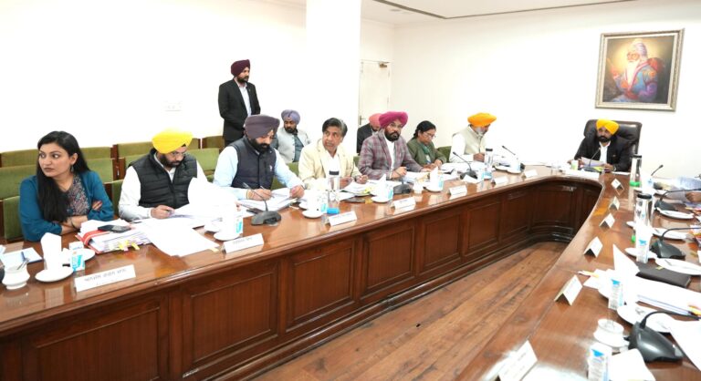 WhatsApp Image 2024-02-22 at 2.51.40 PM