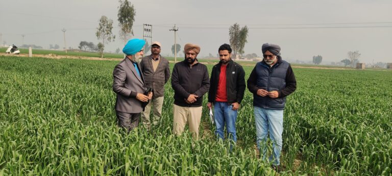 cb5fb67c-21c3-40e4-9b12-2d96d8c8ee4f