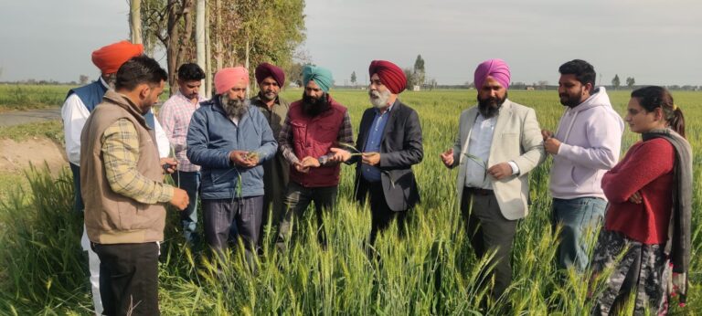 WhatsApp Image 2024-03-05 at 3.12.24 PM