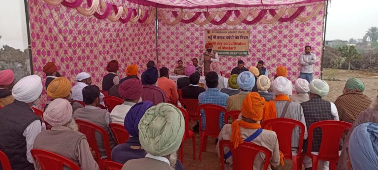 WhatsApp Image 2024-03-13 at 12.47.50