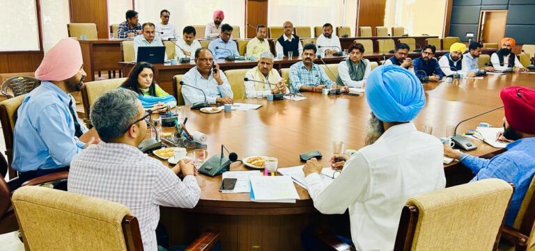 WhatsApp Image 2024-03-18 at 1.39.04 PM (1)