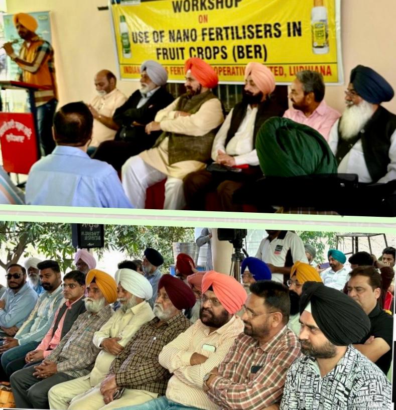 ਬੇਰ ਬਗੀਚਾ ਮੇਲਾ