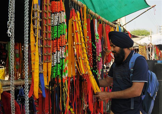 2023_4$largeimg_1839213450