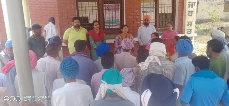 WhatsApp Image 2024-04-12 at 12.49.11 PM