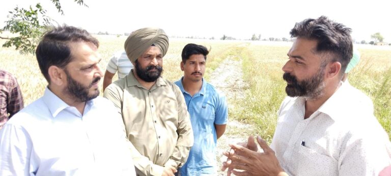 WhatsApp Image 2024-04-12 at 2.41.28 PM