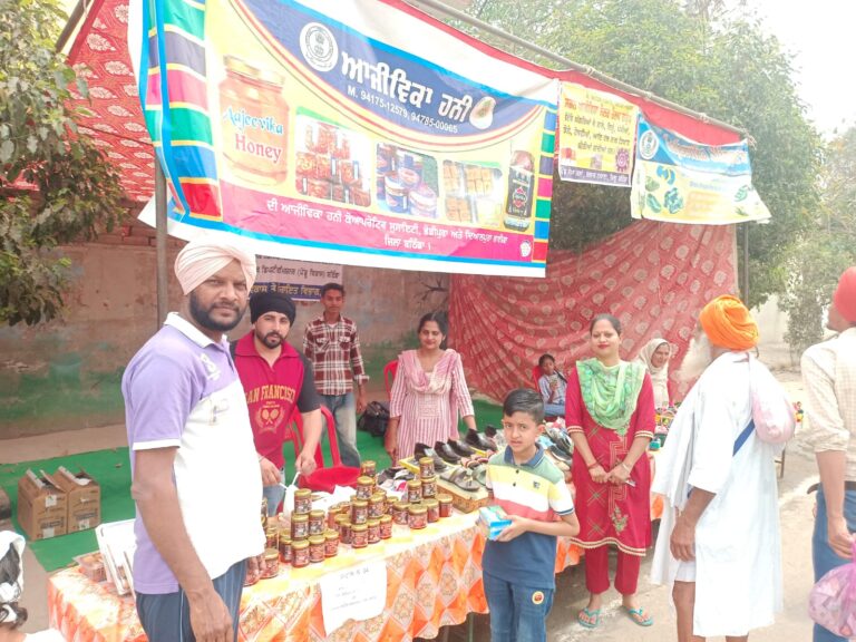 WhatsApp Image 2024-04-15 at 16.38.22