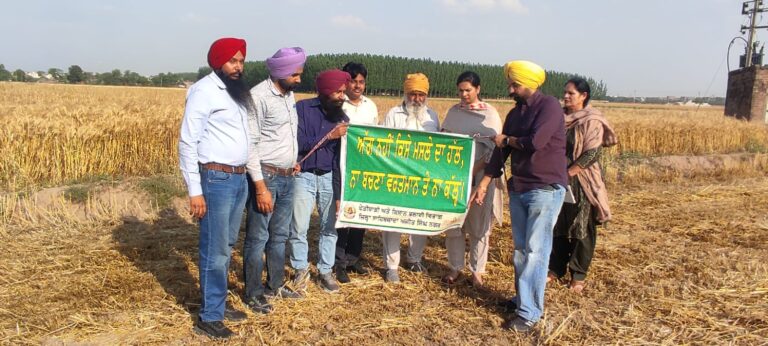 WhatsApp Image 2024-04-23 at 2.24.02 PM