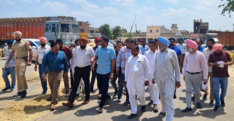 WhatsApp Image 2024-04-24 at 1.17.40 PM