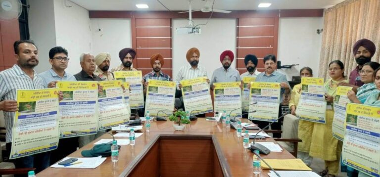 WhatsApp Image 2024-04-25 at 10.57.43 AM