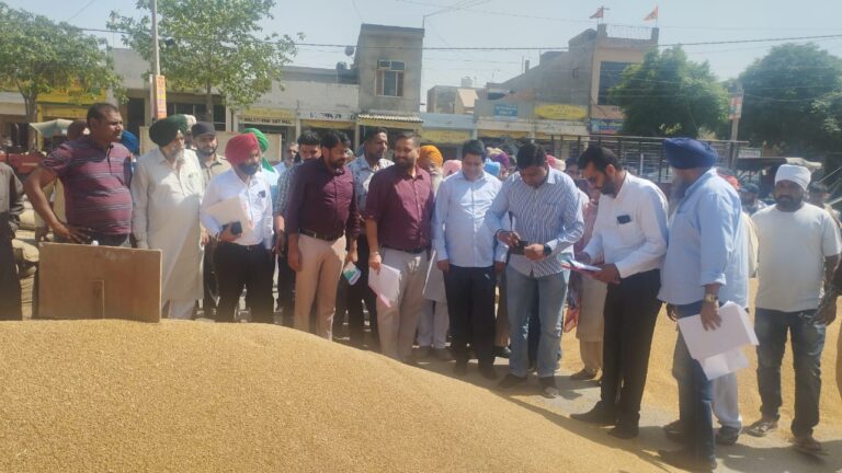 WhatsApp Image 2024-04-27 at 3.05.32 PM