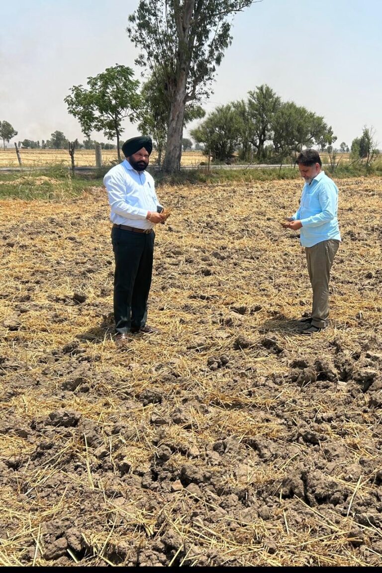 WhatsApp Image 2024-05-08 at 12.24.10 PM (1)