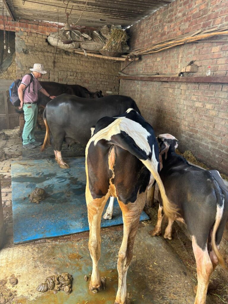 WhatsApp Image 2024-05-12 at 3.39.22 AM