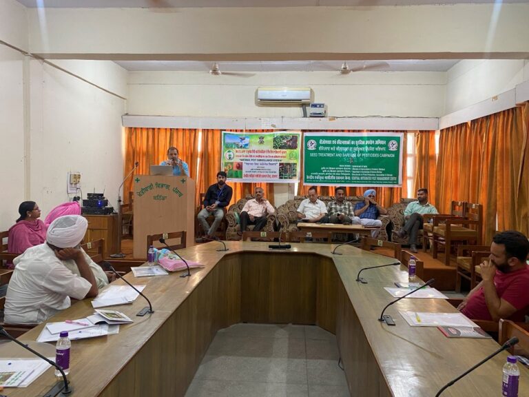 WhatsApp Image 2024-05-16 at 16.48.08