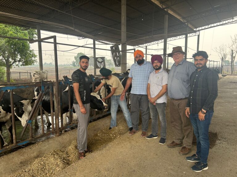 WhatsApp Image 2024-05-17 at 1.01.12 PM