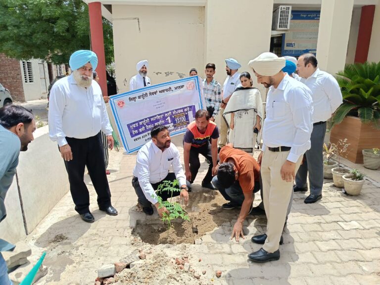 WhatsApp Image 2024-06-05 at 4.02.32 PM