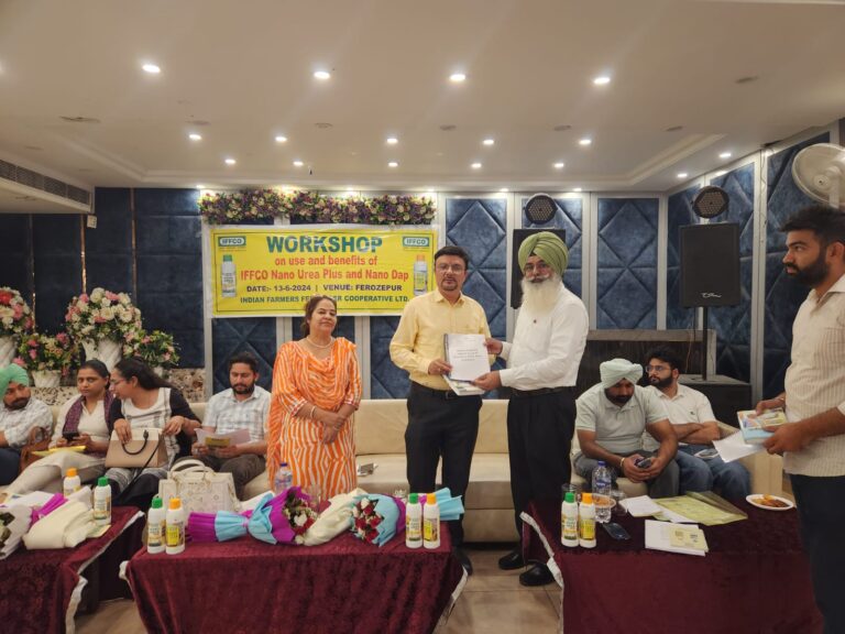 WhatsApp Image 2024-06-13 at 3.15.03 PM (1)