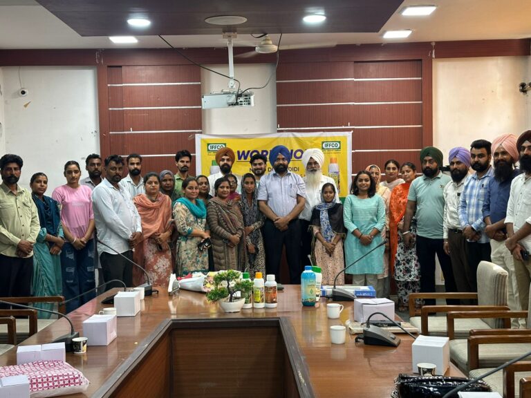 WhatsApp Image 2024-06-15 at 1.16.34 AM(1)