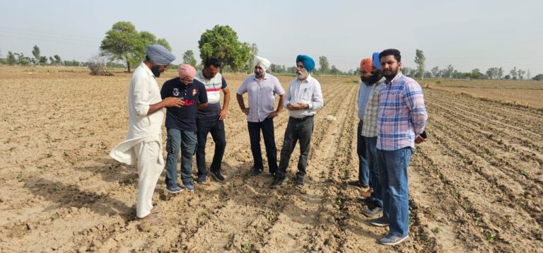 WhatsApp Image 2024-06-15 at 15.03.55 (3)