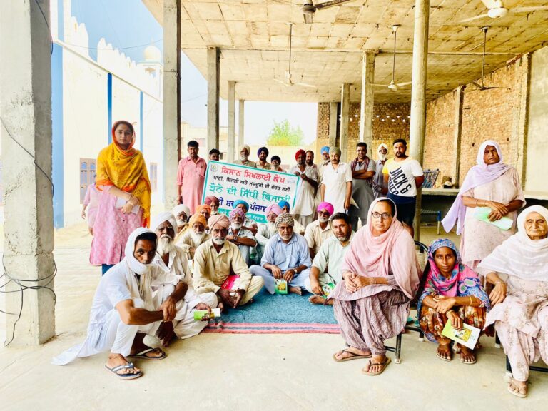 WhatsApp Image 2024-06-24 at 1.04.04 PM