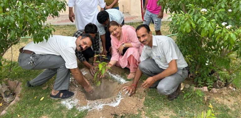 WhatsApp Image 2024-06-27 at 3.28.18 PM