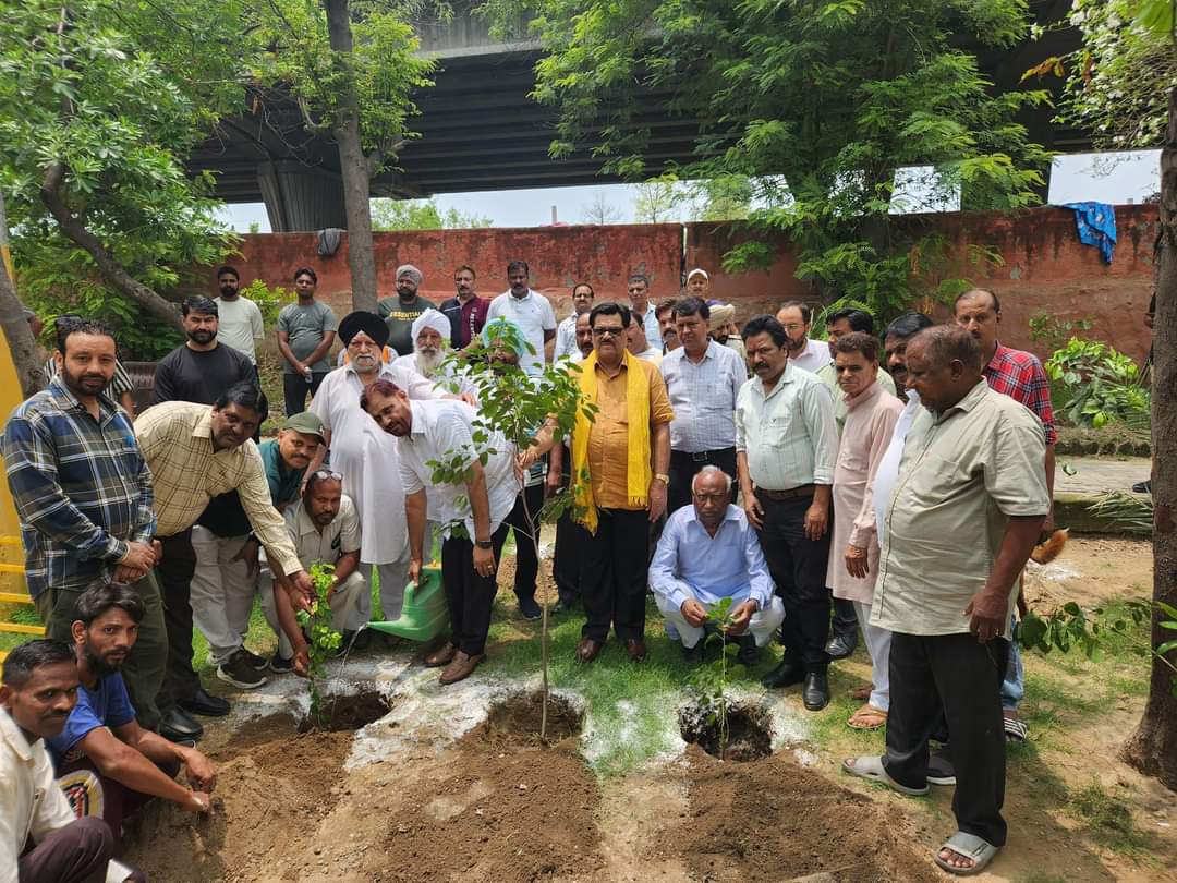 Plantation Drive (2)