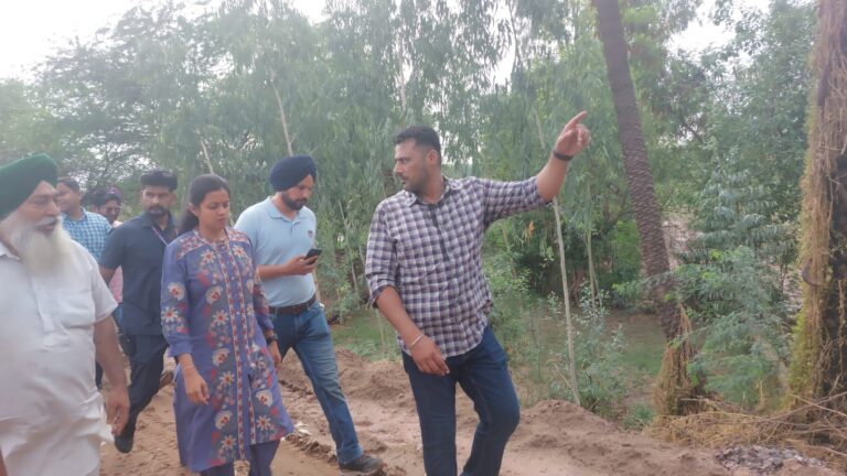 WhatsApp Image 2024-07-03 at 4.34.13 PM (1)