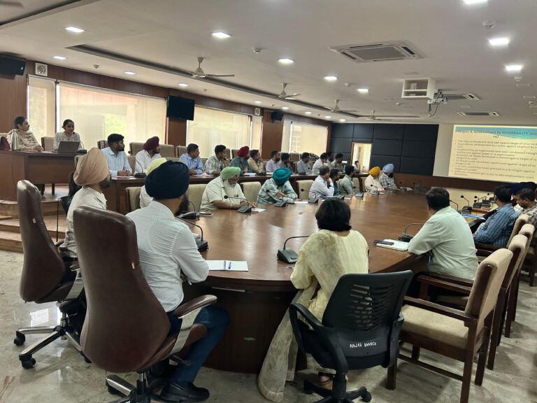 WhatsApp Image 2024-07-04 at 11.33.21 (1)