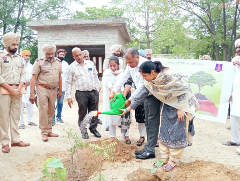 WhatsApp Image 2024-07-06 at 5.00.32 PM