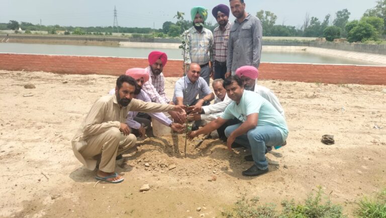 WhatsApp Image 2024-07-09 at 17.55.35