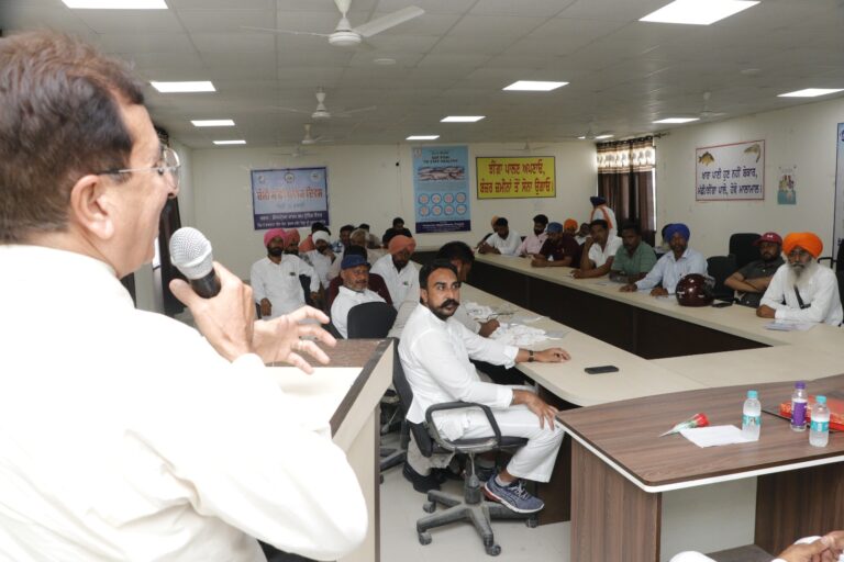 WhatsApp Image 2024-07-10 at 4.28.47 PM (1)