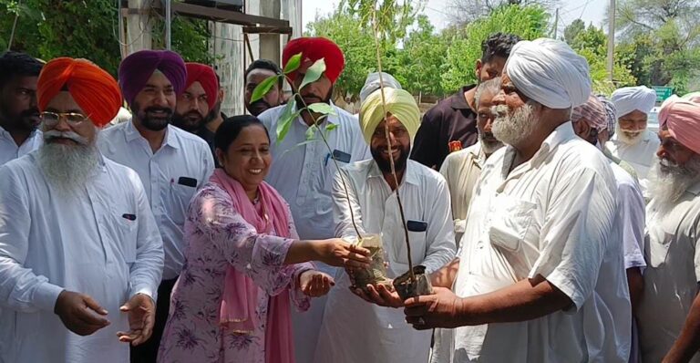 WhatsApp Image 2024-07-12 at 3.29.11 PM