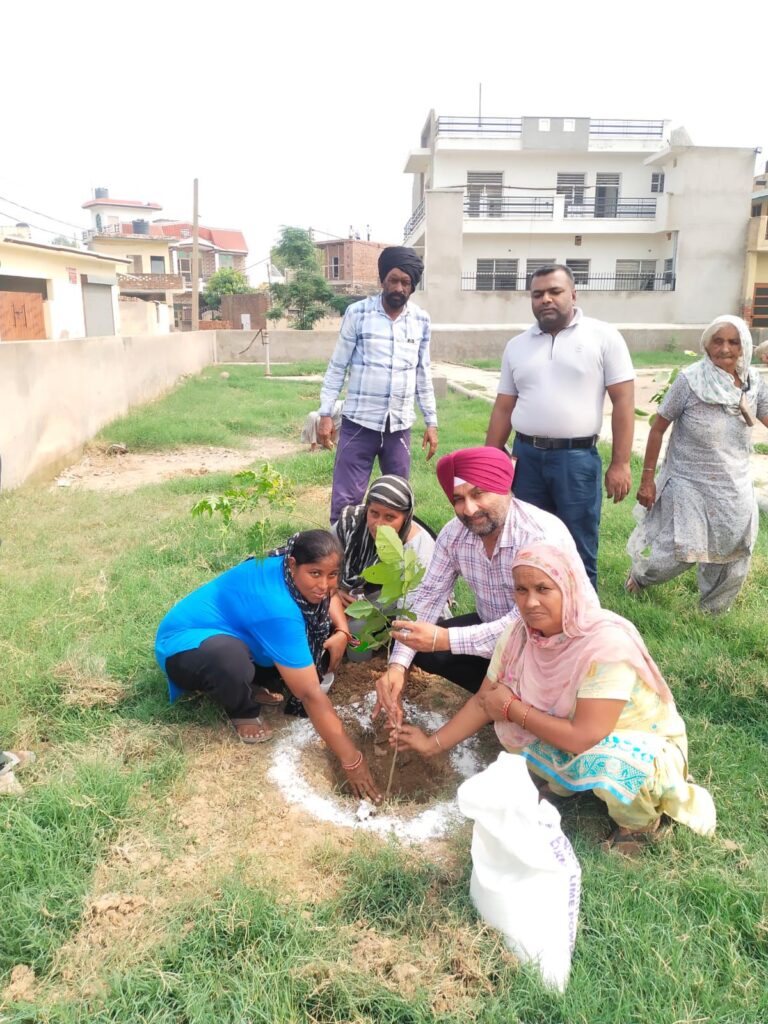 WhatsApp Image 2024-07-12 at 3.57.32 PM