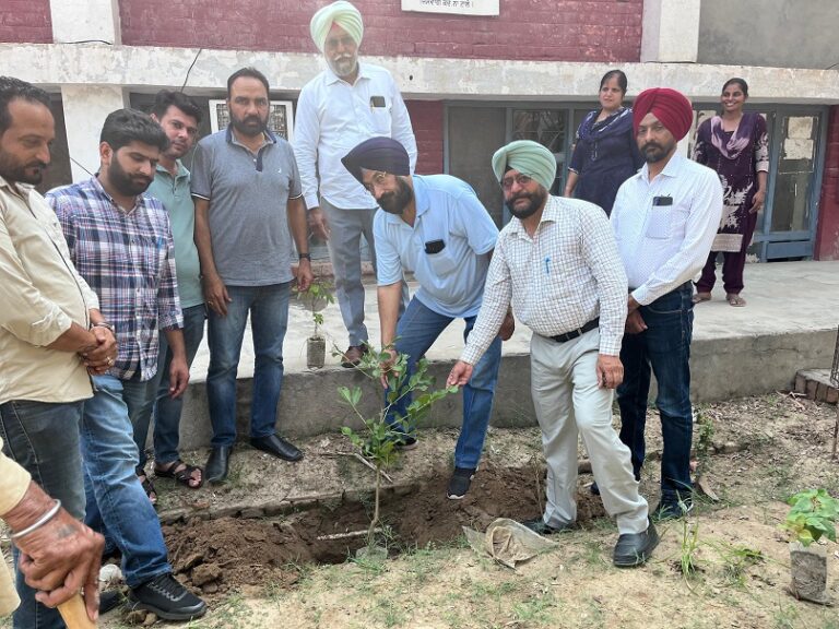 WhatsApp Image 2024-07-15 at 10.18.04 AM