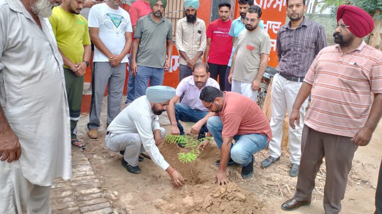 WhatsApp Image 2024-07-24 at 2.38.25 PM