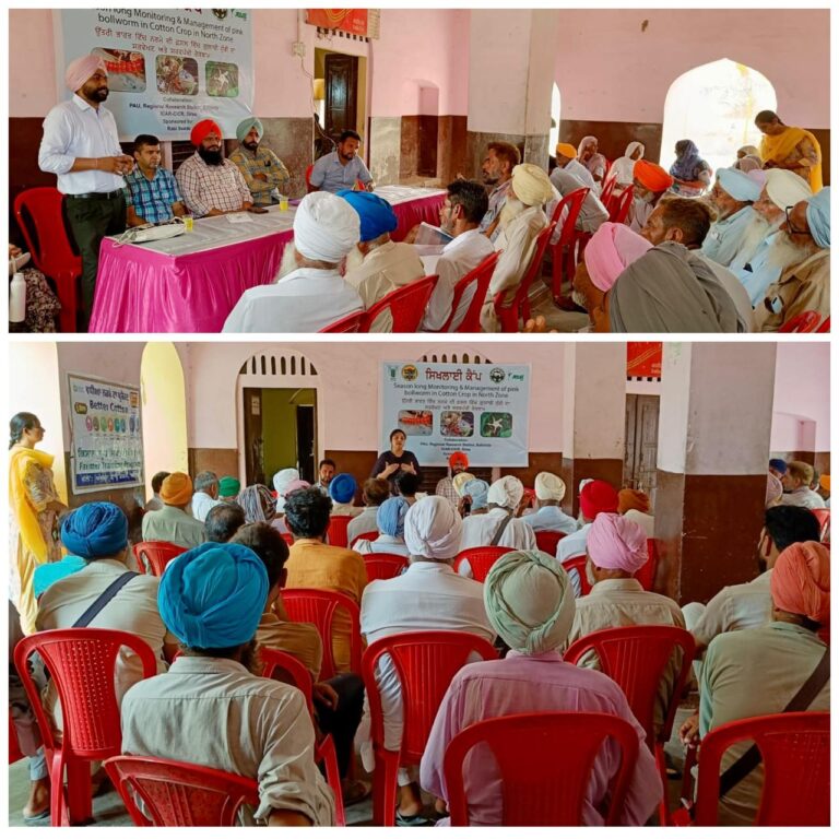 WhatsApp Image 2024-07-25 at 3.52.42 PM