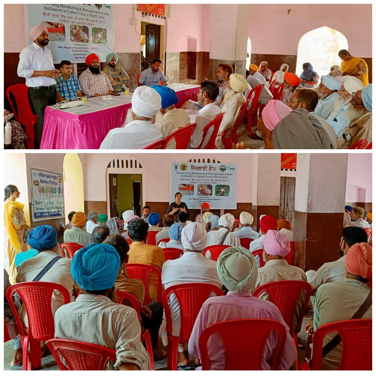 WhatsApp Image 2024-07-25 at 3.52.42 PM