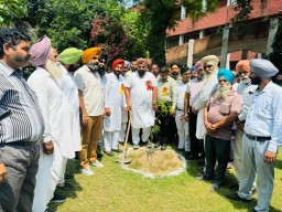 IMG-20240823-WA0018 (1)