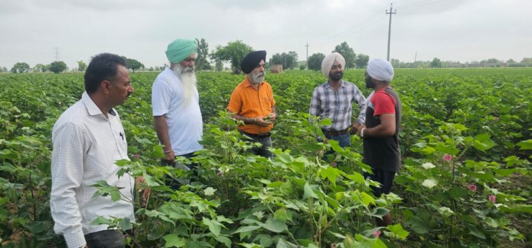 WhatsApp Image 2024-08-08 at 12.13.46