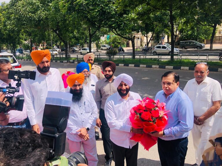 WhatsApp Image 2024-08-08 at 12.22.21 PM (1)