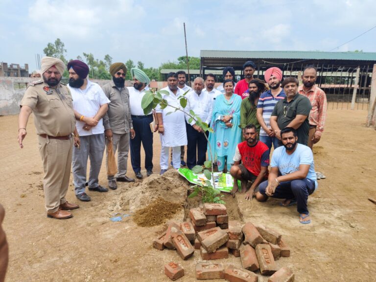 WhatsApp Image 2024-08-08 at 4.54.31 PM (1)