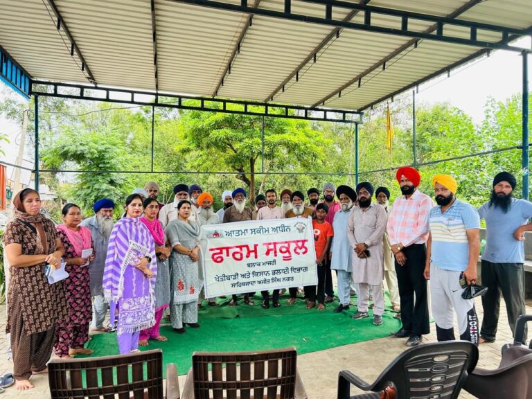 WhatsApp Image 2024-08-12 at 4.44.16 PM