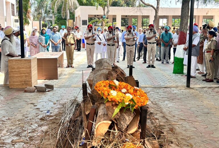 WhatsApp Image 2024-08-14 at 16.37.52 (1)