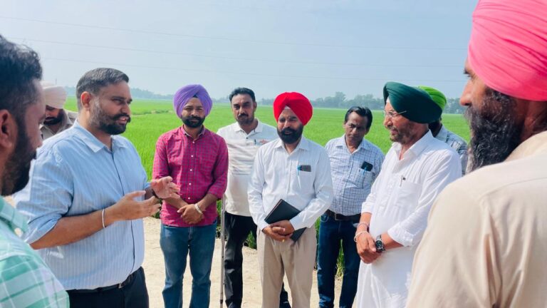 WhatsApp Image 2024-08-16 at 10.48.14 AM